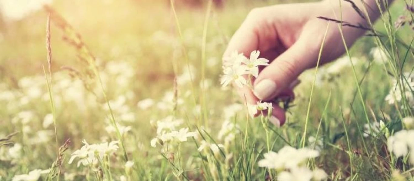 Ποιο είναι το φυσικό αγχολυτικό που δεν ήξερες;